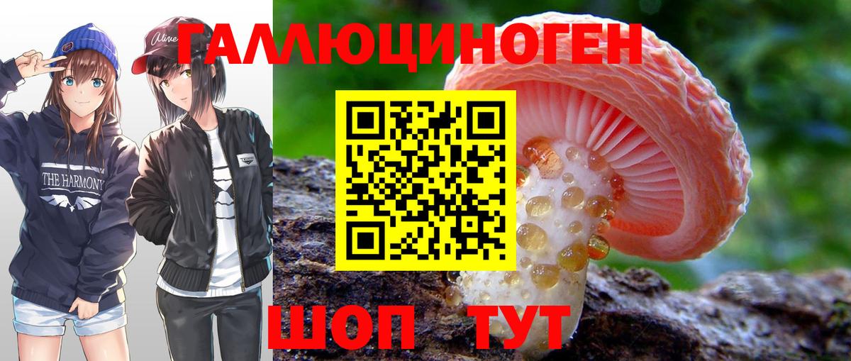 Долгопрудный  Галлюциногенные грибы Psilocybine cubensis  наркотики  Псилоцибиновые грибы Cubensis  Вход с VPN 